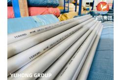China ASME SA 213/ ASTM A213 TP316L SS Seamless Pipe For Heat Exchanger supplier
