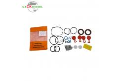 China CP4 Fuel Injection Pump Repair Kit 891831-CP401 Excavator Parts supplier
