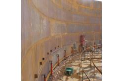 China Advanced Hydraulic Jacking System for Tank Construction supplier