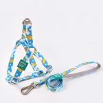 Pet Printed Harness Polyester Leash Set For Medium And Large Dogs
