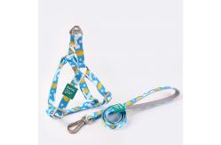 China Pet Printed Harness Polyester Leash Set For Medium And Large Dogs supplier