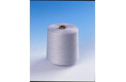China Conductive And Metallic Yarn With Excellent Blend Uniformity supplier