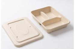China One Time Use Dinner Plate Biodegradable Food Containers Compostable supplier