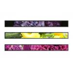 High Brightness Stretched LCD Display 4G LTE POE 23.1 Inch Advertising Display for sale