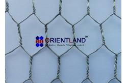 China Garden Chicken Wire Netting Fencing Rabbits Net Protect 0.2m-3m Width supplier
