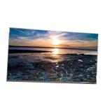 M215HCJ-L3N Innolux 21.5 inch display monitor with 1920x1080 resolution for computer screen panel for sale