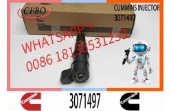 China Fuel Injector Assembly M11 PT 3064881 3071497 Fuel Injector supplier