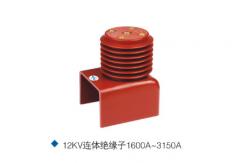China Electrical Switchgear HV Insulators Isoator Power Supply Epoxy   12KV supplier