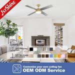CCC Modern Ceiling Fan With Light And Remote Control 4 MDF Blades