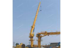 China 5T40M Fixed Boom Shipyard Crane supplier
