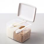 Salt Chicken Essence 2 Compartment Kitchen Seasoning Box With Spoon for sale