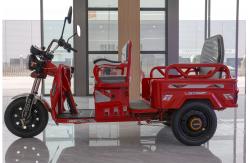 China 800w Passenger Electric Tricycle With Back Seat Foldable Safety Guardrail supplier