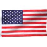 Double Sided National 3x5 Or Custom Size For Election Voting Or Waving Flag for sale