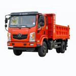 DAYUN 4X2      Tip Lorry     Back Flip Dump  Self-clearing Wagon for sale