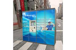 China Intelligent Logistics Parcel Delivery Lockers With Online Shopping Click & Collect Solution supplier