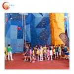 Indoor Kids Climbing Wall Trampoline Park Treadwall Rock Climbing Customized for sale
