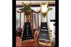 China Star Design Custom Medals And Trophies With 3D Printing From Factory Wholesale supplier