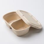 Eco Friendly Compostable Sugarcane Pulp Disposable Take Out Containers