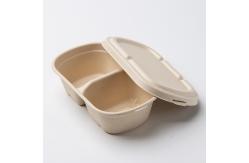 China Eco Friendly Compostable Sugarcane Pulp Disposable Take Out Containers supplier