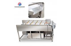 China Vegetable Potato Parallel Hair Roller Cleaning Machine 1200kg/h supplier