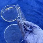 Factory Custom Lab Round Transparent Corrosion Resistant Quartz Glass Petri Dish for sale