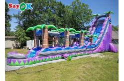 China Purple Inflatable Water Slide Commercial Grade Water Slide Inflatable With Pool supplier