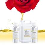 Free Samples Roll On Perfume Oil Private Label Perfume Fragrance for sale