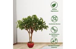 China Wholesale Boxwood Tree Artificial Boxwood Tree for Decoration supplier