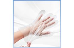 China Hygiene Disposable PE Gloves Acids Resistance For Food Processing supplier