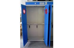 China Alkali Resistant Flammable Gas Storage Cabinet Practical Multipurpose supplier