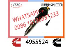 China QSK19 Neutral fuel injector Y431K05420 F00BL0J019 2867149 2882079 4964170 4918073 4955524 4964173 supplier