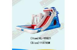 China Aldult  Outdoor Rental Inflatable Large Water Slides With Bouncy supplier