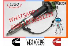 China Fuel Injector Assembly 2867147 2882077 4955524 Y431KO5393 2882078For Qsk19 Engine supplier