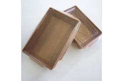 China Rectangular Salad Kraft Lunch Box Disposable Biodegradable 500ml - 2100ml supplier