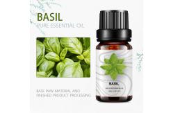 China Massage OEM Essential Oil New ODM Basil Essential Oil Diffuser Cosmetics supplier