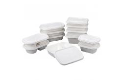China Eco Friendly Compostable Sugarcane Pulp Disposable Take Out Containers supplier