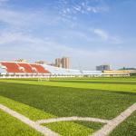 14000 Dtex Artificial Turf Grass Diamond Shape PE 20mm Anti Ultraviolet for sale