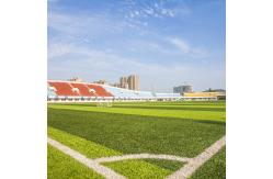 China PE Artificial Turf  Grass Rug Premium Synthetic football Grass PP supplier