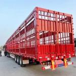 3/4 Axles Max Payload 30000 kg Double Deck Animal Poultry Livestock Semi Trailer for sale