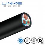 Customization UL Certified Evje Evjt Series Portable Electric Vehicle Charging Cable for sale