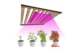 China Dimmable 1000 Watt Led Grow Light For Horticulture supplier