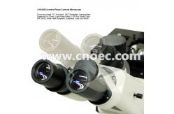 China Trinocular LWD Objective Bright Field Inverted Phase Contrast Microscope 3W LED A19.0205 supplier