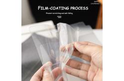 China OEM PET Cupcake Transparent Clear Box Folding Carry Out With Divider Handle supplier