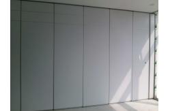 China Soundproof Hotel Dinning Hall Movable Panel Operable Wall Partition With Pass Door supplier
