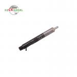Common Rail Diesel Fuel Injector 28232251 166001137R
