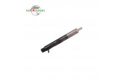 China Common Rail Diesel Fuel Injector 28232251 166001137R supplier