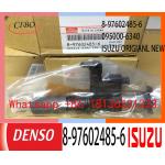 Lightweight 8-97602485-6 095000-5504 DENSO Engine Injector for sale