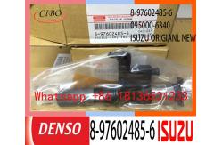 China Lightweight 8-97602485-6 095000-5504 DENSO Engine Injector supplier