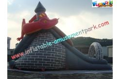 China Dragon Commercial Inflatable Slide , 8L Inflatable Slide Slip For Christmas supplier