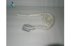China E8CS-RS Ultrasound Transducer Probe GE Medical Ultrasound Machine supplier